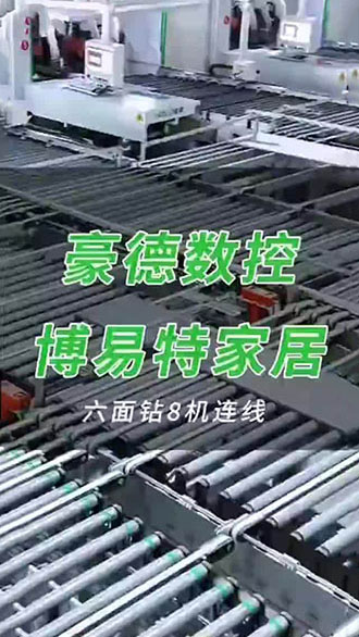 豪德数控 博易特家居 六面钻8机连线