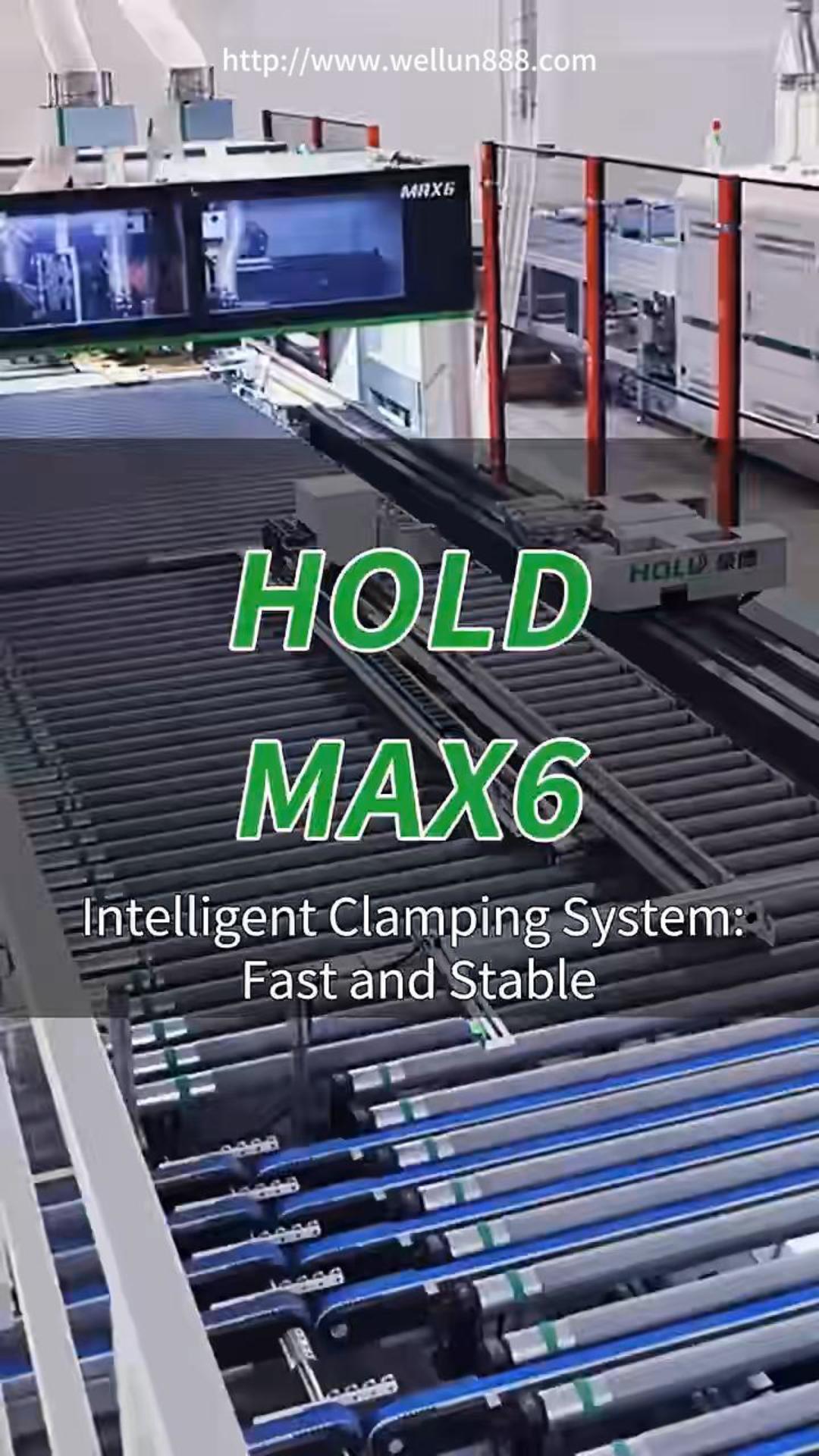 HOLD MAX6