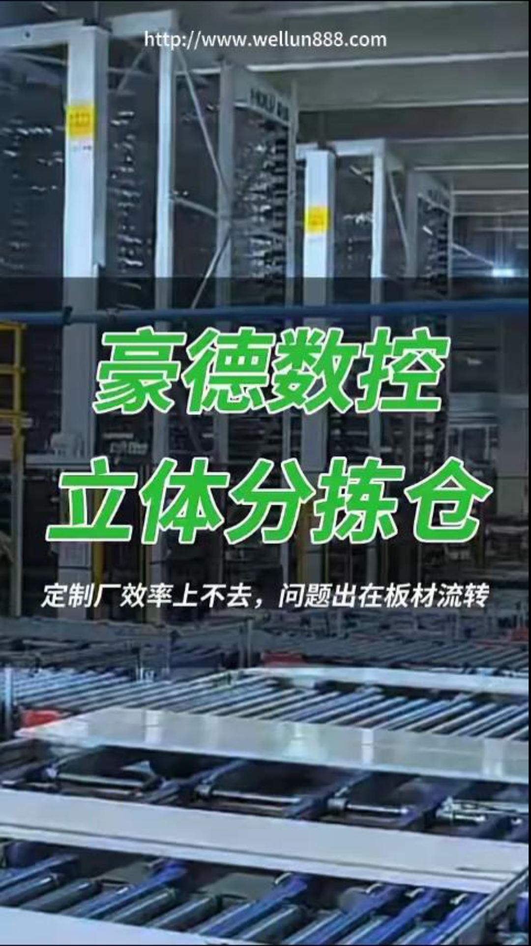 豪德数控立体分拣仓#華倫機械#华伦科技#wellun
