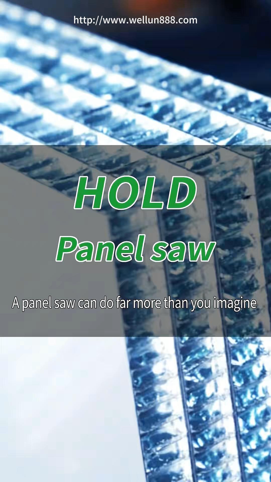 HOLD Panel saw #華倫機械#华伦科技#wellun