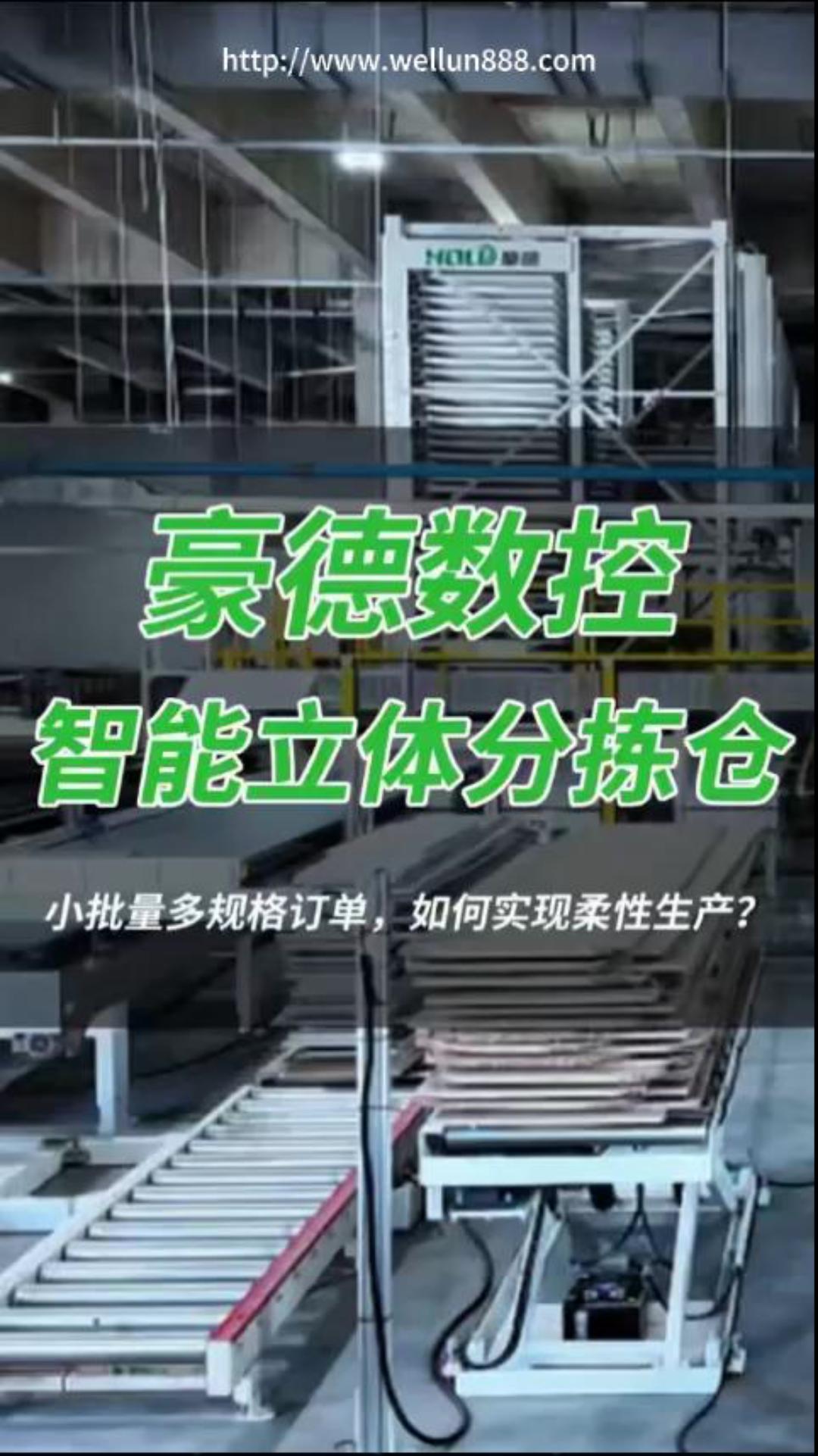 豪德数控智能立体分拣仓#華倫機械#华伦科技#wellun